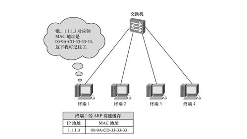 IPv4編址與子網劃分 通信建立、驗證及ICMP協議解析